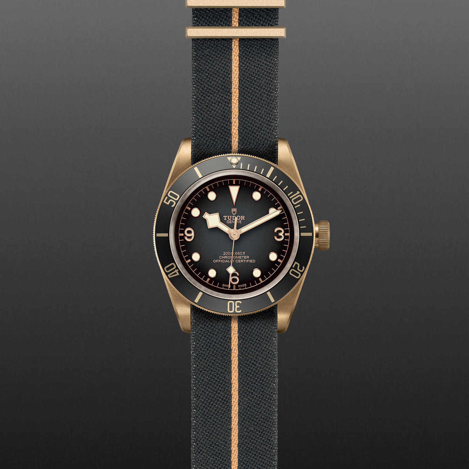 Black Bay Bronze